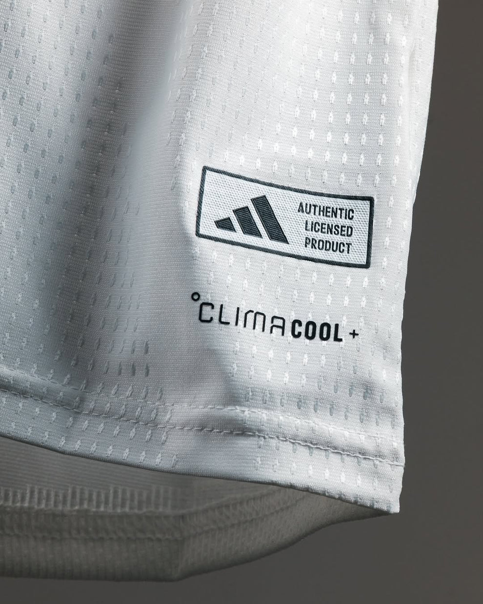 Germany home jersey 2025-26 player version featuring ClimaCool technology for optimal comfort